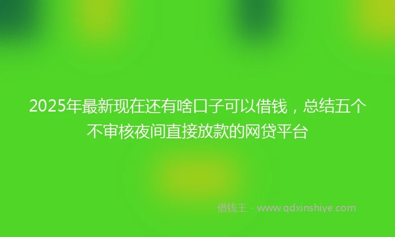 2025年最新现在还有啥口子可以借钱，总结五个不审核夜间直接放款的网贷平台