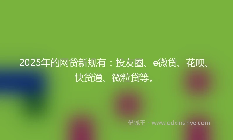 2025年的网贷新规有：投友圈、e微贷、花呗、快贷通、微粒贷等。