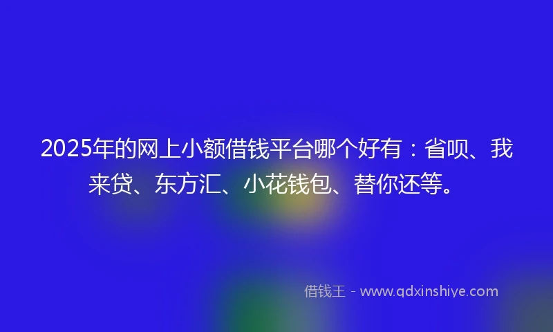 2025年的网上小额借钱平台哪个好有：省呗、我来贷、东方汇、小花钱包、替你还等。