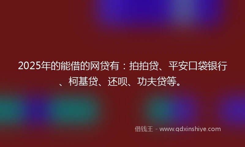 2025年的能借的网贷有：拍拍贷、平安口袋银行、柯基贷、还呗、功夫贷等。