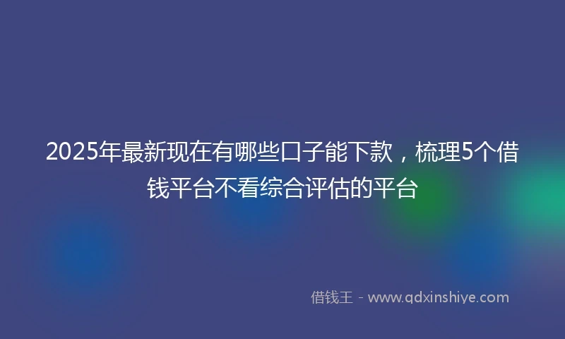 2025年最新现在有哪些口子能下款，梳理5个借钱平台不看综合评估的平台
