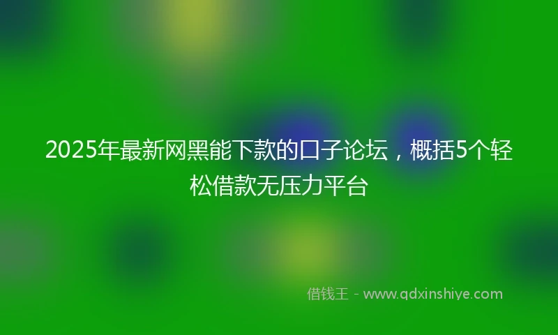 2025年最新网黑能下款的口子论坛，概括5个轻松借款无压力平台