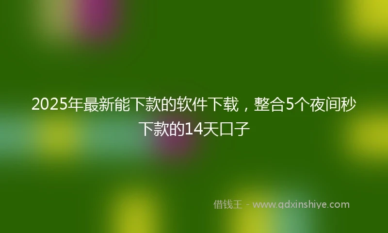 2025年最新能下款的软件下载，整合5个夜间秒下款的14天口子