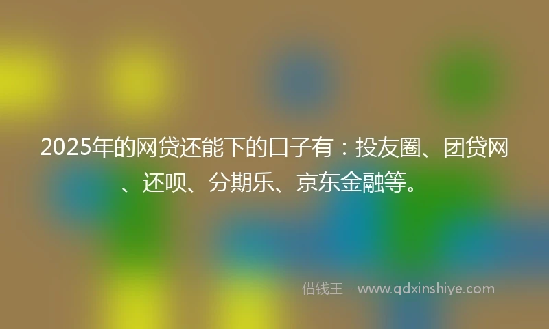 2025年的网贷还能下的口子有：投友圈、团贷网、还呗、分期乐、京东金融等。