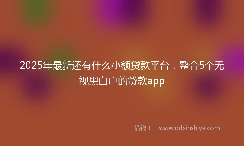 2025年最新还有什么小额贷款平台，整合5个无视黑白户的贷款app