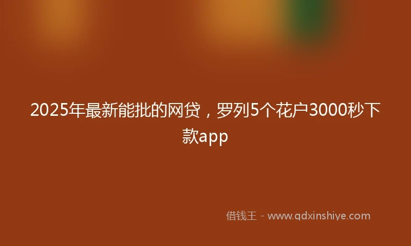 2025年最新能批的网贷，罗列5个花户3000秒下款app