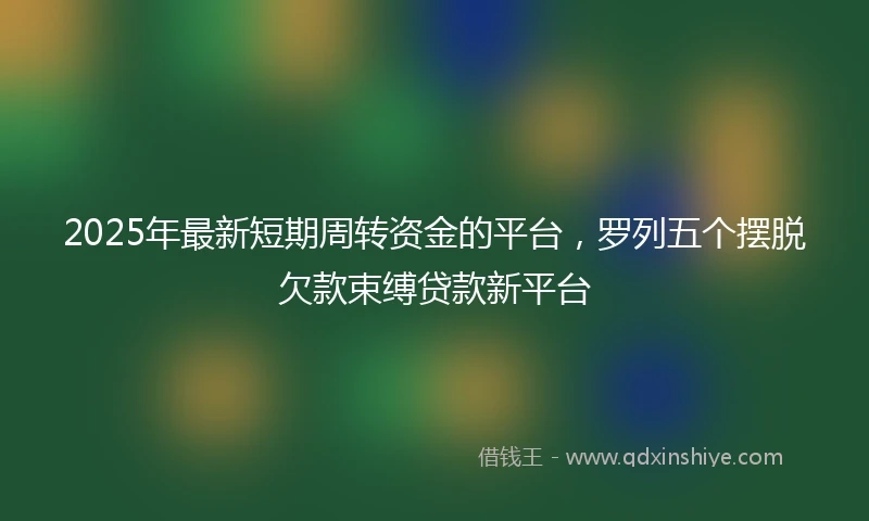 2025年最新短期周转资金的平台，罗列五个摆脱欠款束缚贷款新平台