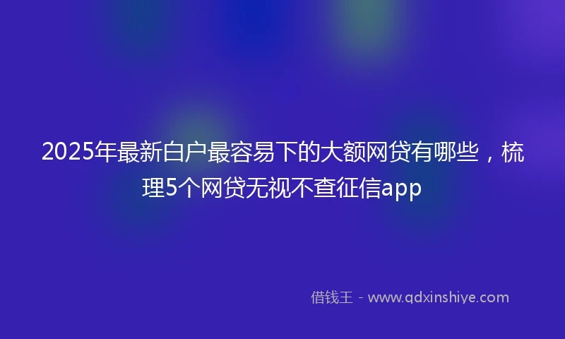 2025年最新白户最容易下的大额网贷有哪些，梳理5个网贷无视不查征信app