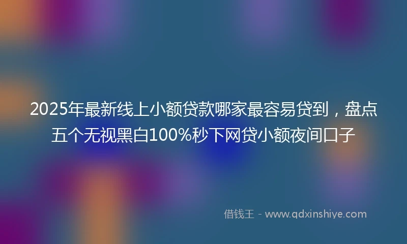 2025年最新线上小额贷款哪家最容易贷到，盘点五个无视黑白100%秒下网贷小额夜间口子