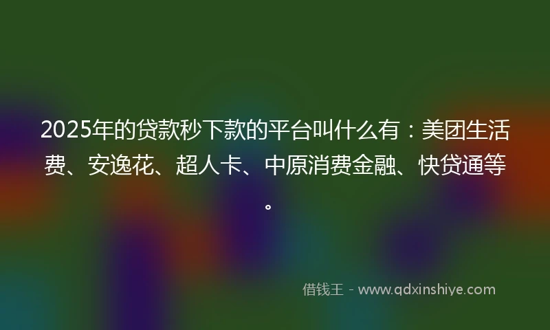 2025年的贷款秒下款的平台叫什么有：美团生活费、安逸花、超人卡、中原消费金融、快贷通等。