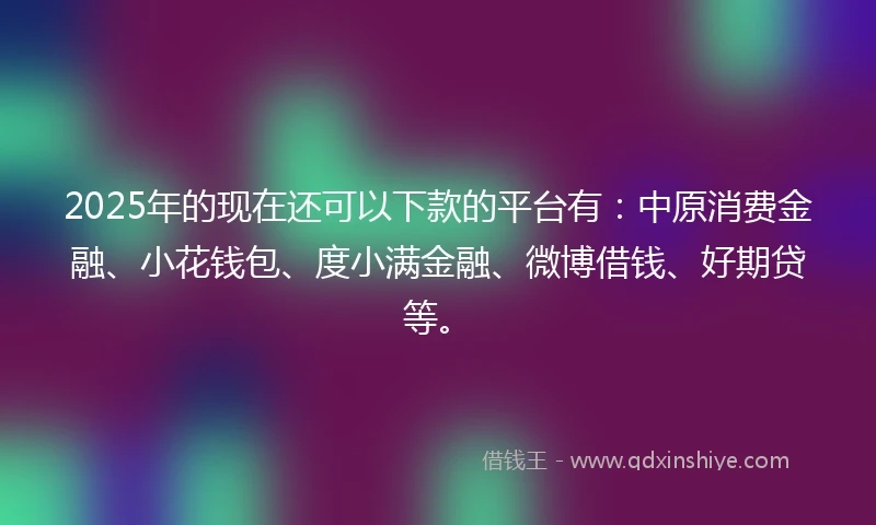 2025年的现在还可以下款的平台有：中原消费金融、小花钱包、度小满金融、微博借钱、好期贷等。