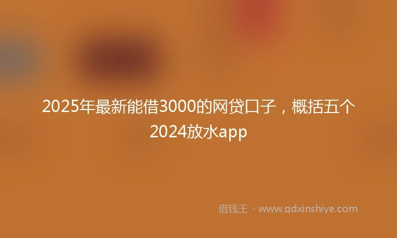 2025年最新能借3000的网贷口子，概括五个2024放水app