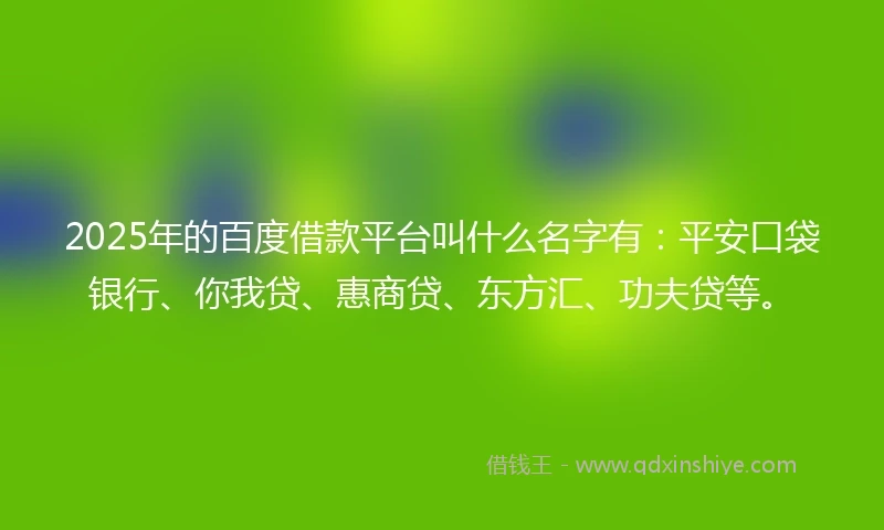2025年的百度借款平台叫什么名字有：平安口袋银行、你我贷、惠商贷、东方汇、功夫贷等。