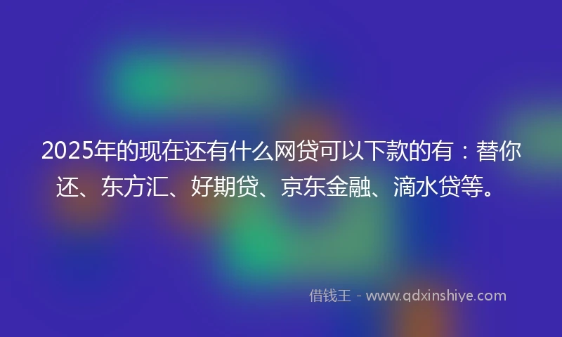 2025年的现在还有什么网贷可以下款的有：替你还、东方汇、好期贷、京东金融、滴水贷等。