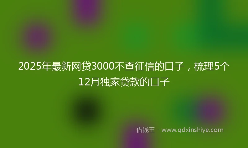 2025年最新网贷3000不查征信的口子，梳理5个12月独家贷款的口子