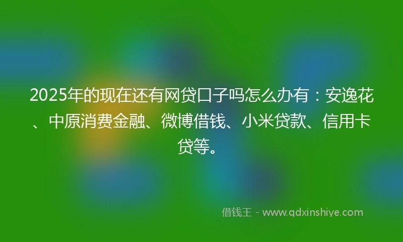 2025年的现在还有网贷口子吗怎么办有：安逸花、中原消费金融、微博借钱、小米贷款、信用卡贷等。