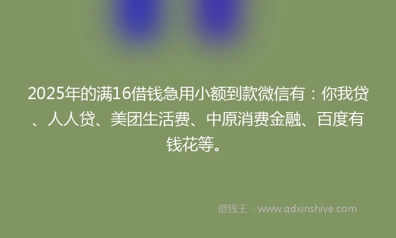 2025年的满16借钱急用小额到款微信有:你我贷、人人贷、美团生活费、中原消费金融、百度有钱花等。