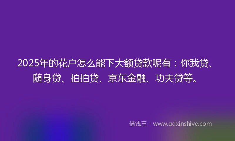 2025年的花户怎么能下大额贷款呢有：你我贷、随身贷、拍拍贷、京东金融、功夫贷等。