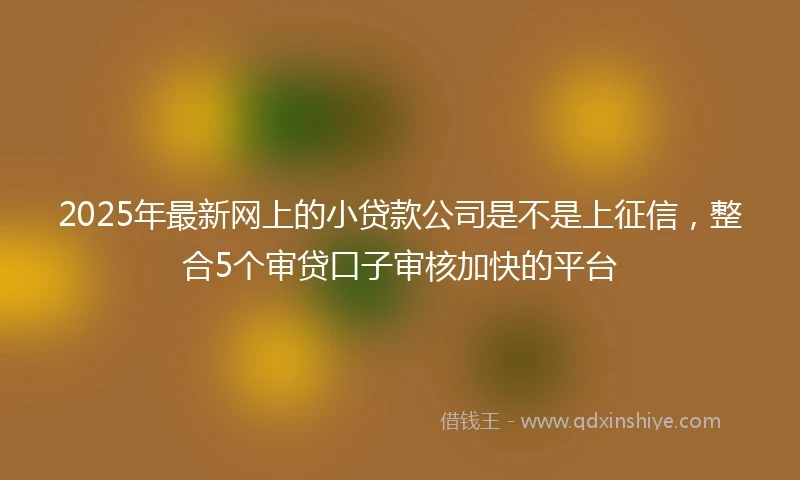 2025年最新网上的小贷款公司是不是上征信，整合5个审贷口子审核加快的平台