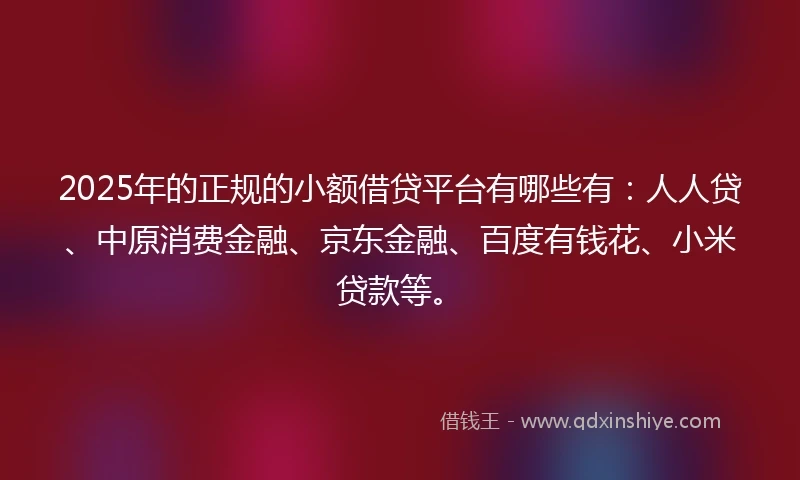 2025年的正规的小额借贷平台有哪些有：人人贷、中原消费金融、京东金融、百度有钱花、小米贷款等。