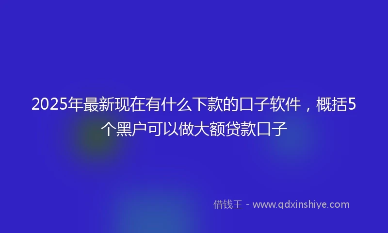 2025年最新现在有什么下款的口子软件，概括5个黑户可以做大额贷款口子