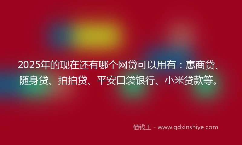 2025年的现在还有哪个网贷可以用有：惠商贷、随身贷、拍拍贷、平安口袋银行、小米贷款等。