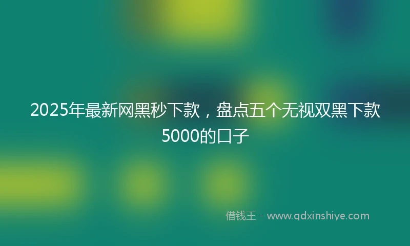 2025年最新网黑秒下款，盘点五个无视双黑下款5000的口子