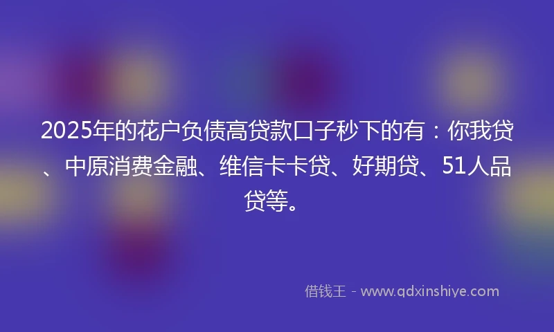 2025年的花户负债高贷款口子秒下的有：你我贷、中原消费金融、维信卡卡贷、好期贷、51人品贷等。