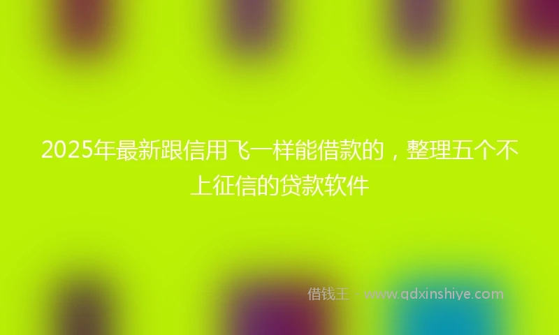 2025年最新跟信用飞一样能借款的，整理五个不上征信的贷款软件