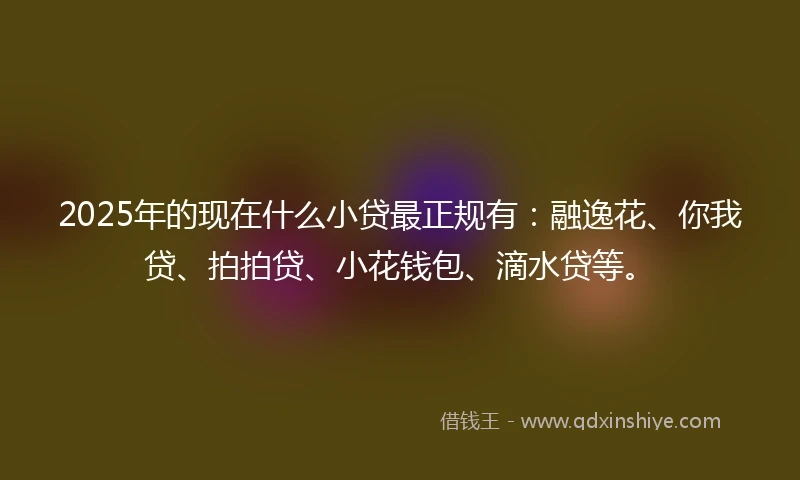 2025年的现在什么小贷最正规有：融逸花、你我贷、拍拍贷、小花钱包、滴水贷等。