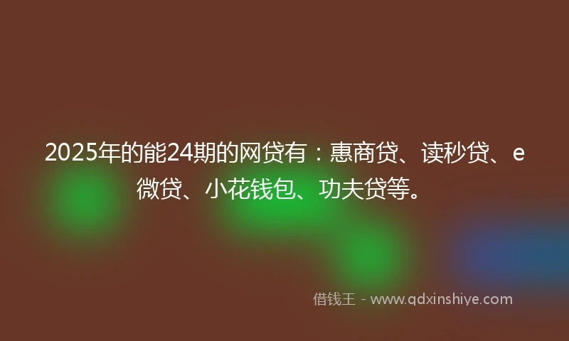 2025年的能24期的网贷有：惠商贷、读秒贷、e微贷、小花钱包、功夫贷等。