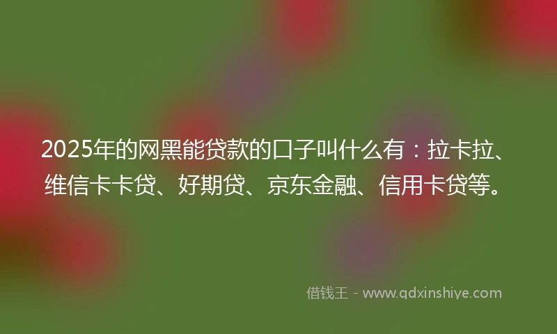 2025年的网黑能贷款的口子叫什么有：拉卡拉、维信卡卡贷、好期贷、京东金融、信用卡贷等。
