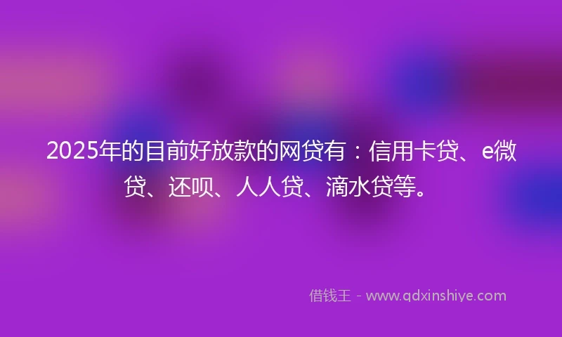 2025年的目前好放款的网贷有：信用卡贷、e微贷、还呗、人人贷、滴水贷等。