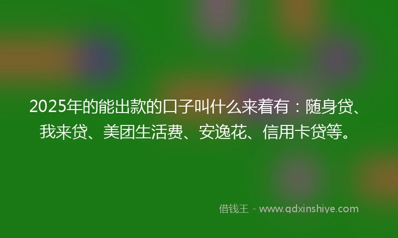 2025年的能出款的口子叫什么来着有：随身贷、我来贷、美团生活费、安逸花、信用卡贷等。