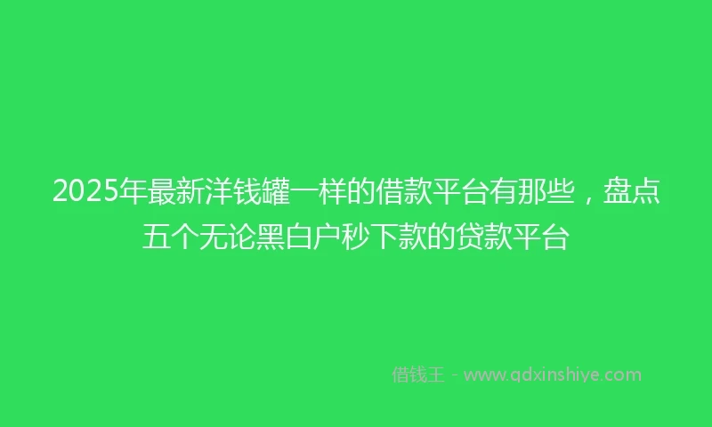 2025年最新洋钱罐一样的借款平台有那些，盘点五个无论黑白户秒下款的贷款平台
