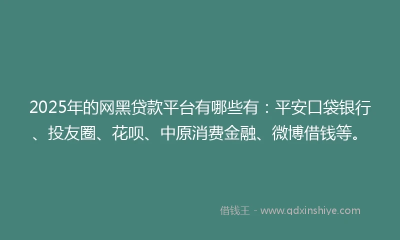 2025年的网黑贷款平台有哪些有：平安口袋银行、投友圈、花呗、中原消费金融、微博借钱等。
