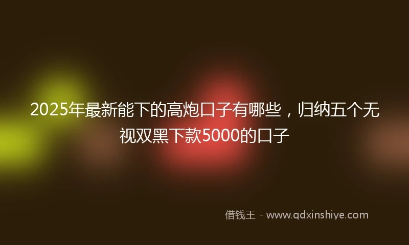 2025年最新能下的高炮口子有哪些，归纳五个无视双黑下款5000的口子