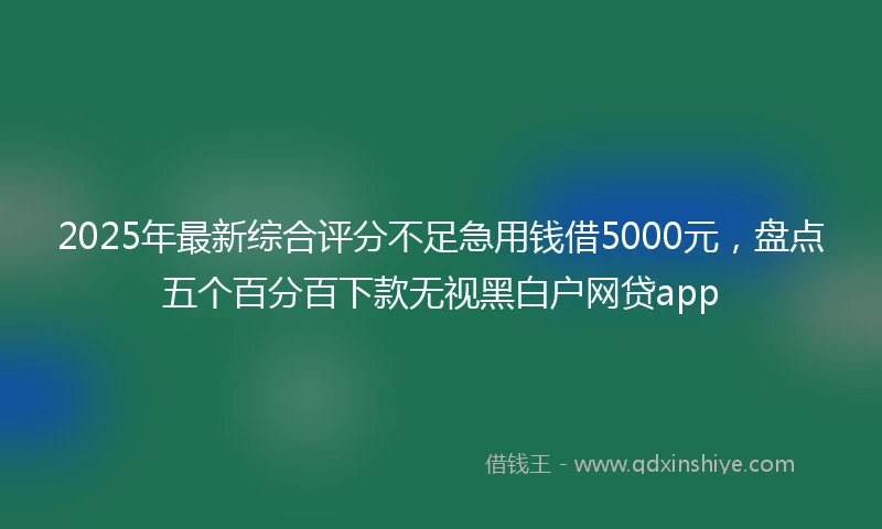 2025年最新综合评分不足急用钱借5000元，盘点五个百分百下款无视黑白户网贷app