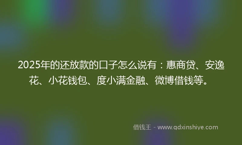 2025年的还放款的口子怎么说有：惠商贷、安逸花、小花钱包、度小满金融、微博借钱等。