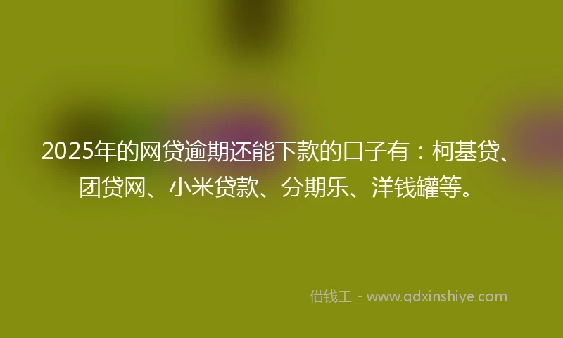 2025年的网贷逾期还能下款的口子有：柯基贷、团贷网、小米贷款、分期乐、洋钱罐等。