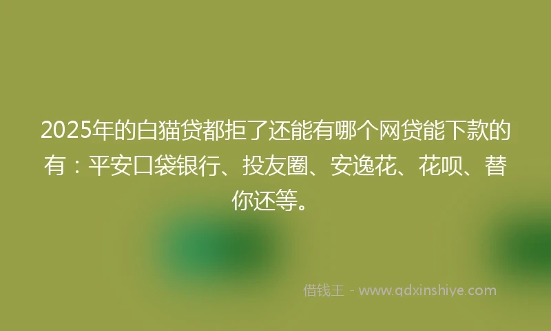 2025年的白猫贷都拒了还能有哪个网贷能下款的有：平安口袋银行、投友圈、安逸花、花呗、替你还等。