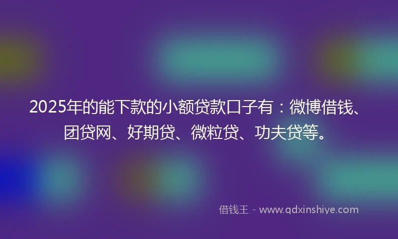 2025年的能下款的小额贷款口子有：微博借钱、团贷网、好期贷、微粒贷、功夫贷等。