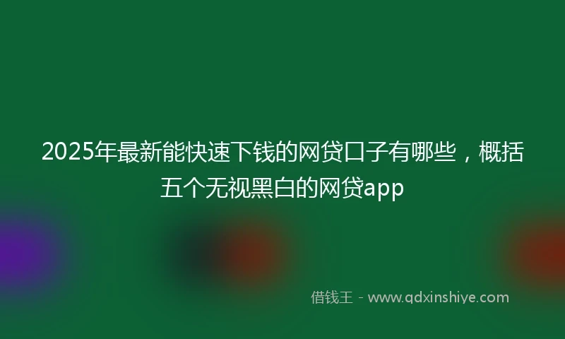 2025年最新能快速下钱的网贷口子有哪些，概括五个无视黑白的网贷app