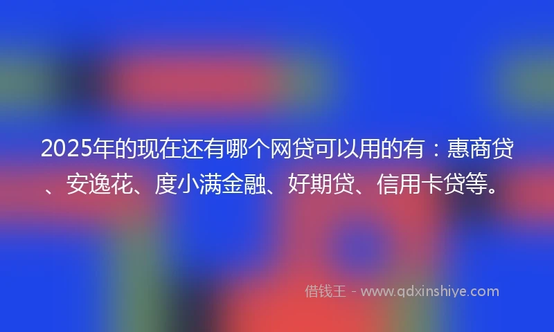 2025年的现在还有哪个网贷可以用的有：惠商贷、安逸花、度小满金融、好期贷、信用卡贷等。