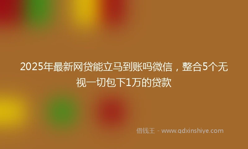 2025年最新网贷能立马到账吗微信，整合5个无视一切包下1万的贷款
