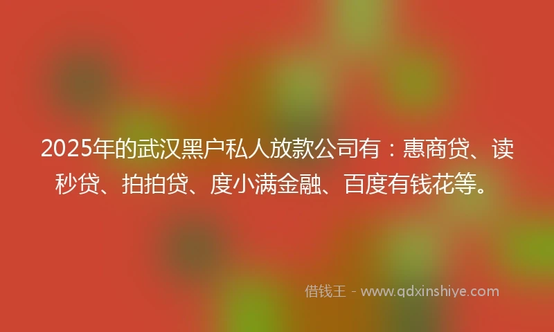 2025年的武汉黑户私人放款公司有：惠商贷、读秒贷、拍拍贷、度小满金融、百度有钱花等。