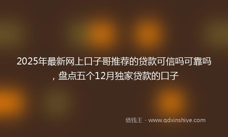 2025年最新网上口子哥推荐的贷款可信吗可靠吗，盘点五个12月独家贷款的口子