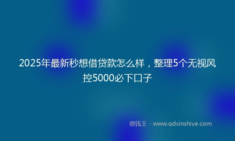 2025年最新秒想借贷款怎么样，整理5个无视风控5000必下口子