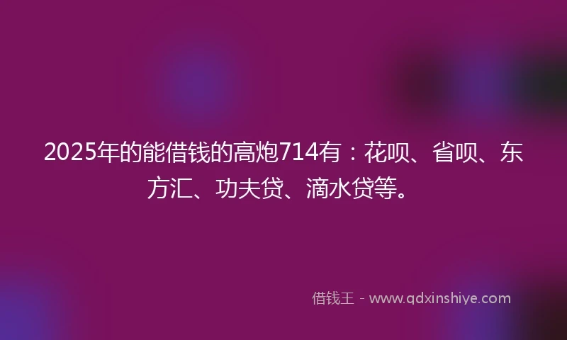 2025年的能借钱的高炮714有：花呗、省呗、东方汇、功夫贷、滴水贷等。