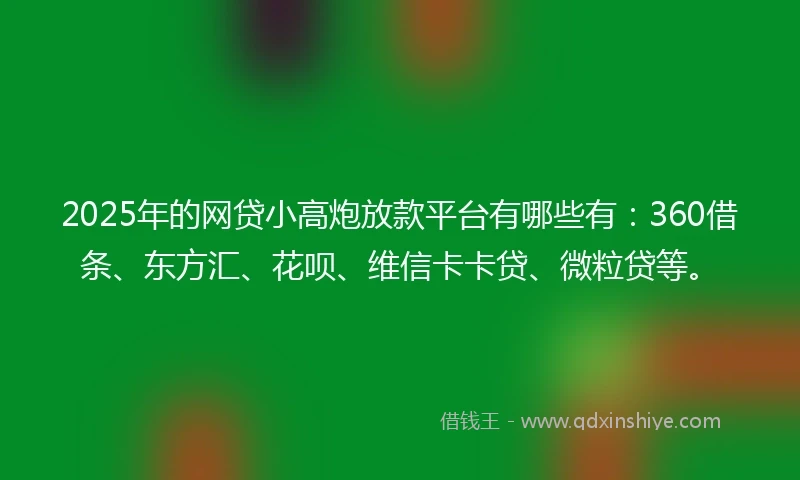 2025年的网贷小高炮放款平台有哪些有：360借条、东方汇、花呗、维信卡卡贷、微粒贷等。